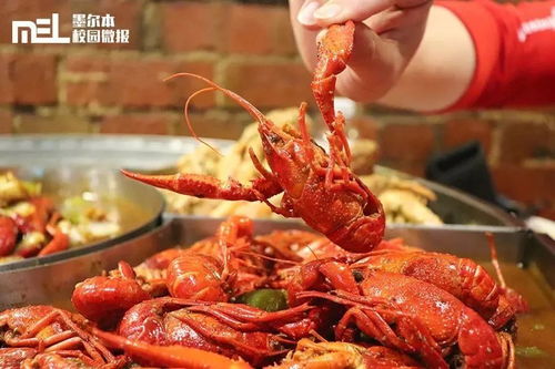 微报福利 墨尔本这家龙虾店太拽啦 反手就给我来了一个龙虾届的 俄罗斯轮盘