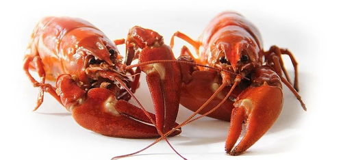 吮指诱惑,麻辣小龙虾复合调味料在烘焙中应用