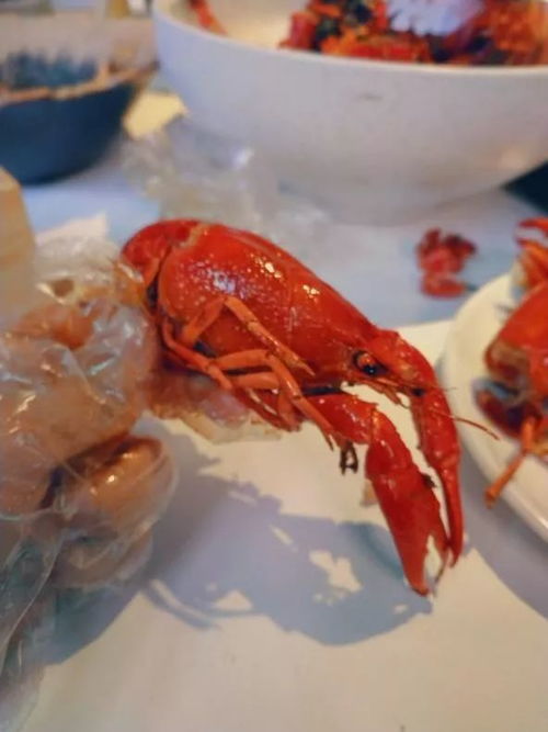 都说不是一顿饭那么简单