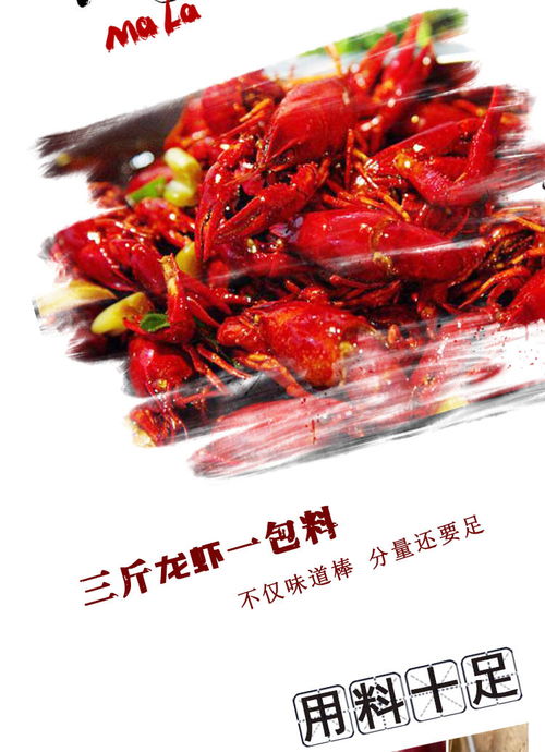 海底捞麻辣小龙虾调味料200g 1袋 三斤龙虾一包料 先麻后辣 一口一个停不下 包邮