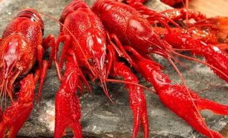 江苏十三市最拿得出手的特产,怎么可以没有江阴