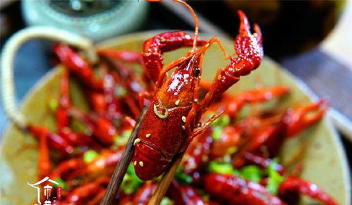 教你在家做麻辣小龙虾,用这16种常见配料,吃完不再去大排档